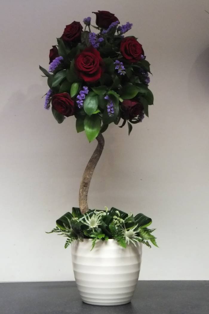 Topiary suitable as Corporate or Wedding display.  Profile Photos of Flowers by Penny 14, Cromwell Mews, - Photo 3 of 3