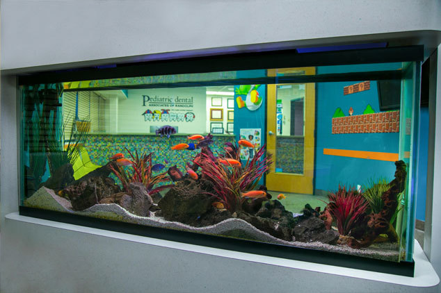  Profile Photos of Pediatric Dental Associates of Randolph 390 State Route 10 - Photo 1 of 10