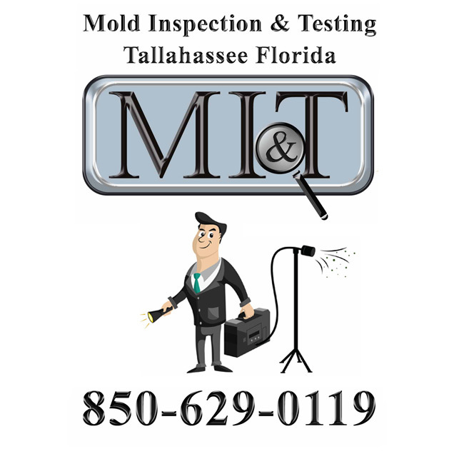 Profile Photos of Mold Inspection & Testing Tallahassee FL 700 N. Woodward Ave #316 - Photo 1 of 4