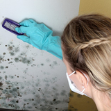  Mold Inspection & Testing Tallahassee FL 700 N. Woodward Ave #316 