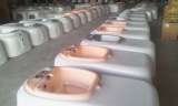  Kalopi Pedicure spa chairs 208 JIABEI RD , JIALI DIST. 