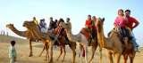 Rajasthan Trip package - forts and palaces tours India, Jaipur - rajasthan