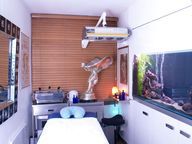  New Album of Absolute Male Massage Earnshaw Street - Photo 1 of 5