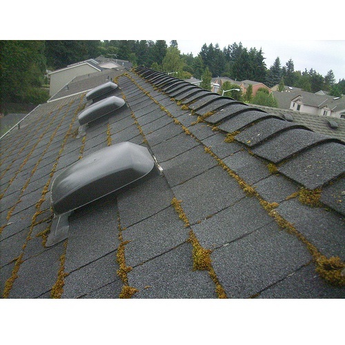 Profile Photos of West Coast Roof Cleaning 3139 St Catherines St - Photo 5 of 5
