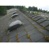 West Coast Roof Cleaning, Vancouver