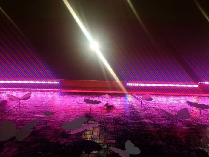 Product Use: <br />
VNL-36, VNL-18S, VNL-9S and ETC-5P<br />
Project Location: Restaurant in Dubai, UAE Showcase of COLORBEAM CO., LTD. Room 314, 3F, No. 87 Minguang E. Road - Photo 3 of 103 Product Use: <br />
VNL-36, VNL-18S, VNL-9S and ETC-5P<br />
Project Location: Restaurant in Dubai, UAE Showcase of COLORBEAM CO., LTD. Room 314, 3F, No. 87 Minguang E. Road - Photo 3 of 103
