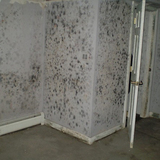 Mold Inspection & Testing Portland OR, Milwaukie