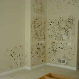Mold Inspection & Testing Portland OR, Milwaukie