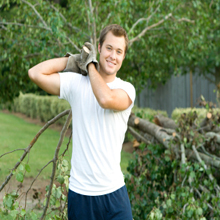  Profile Photos of Glenn's Tree Service 12512 Pioneer Dr - Photo 2 of 3