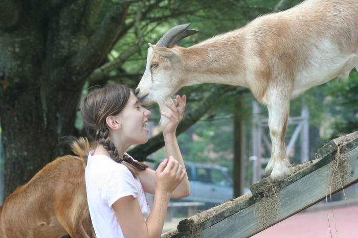  Profile Photos of Camp Farwell for Girls PO Box 300 - Photo 6 of 14