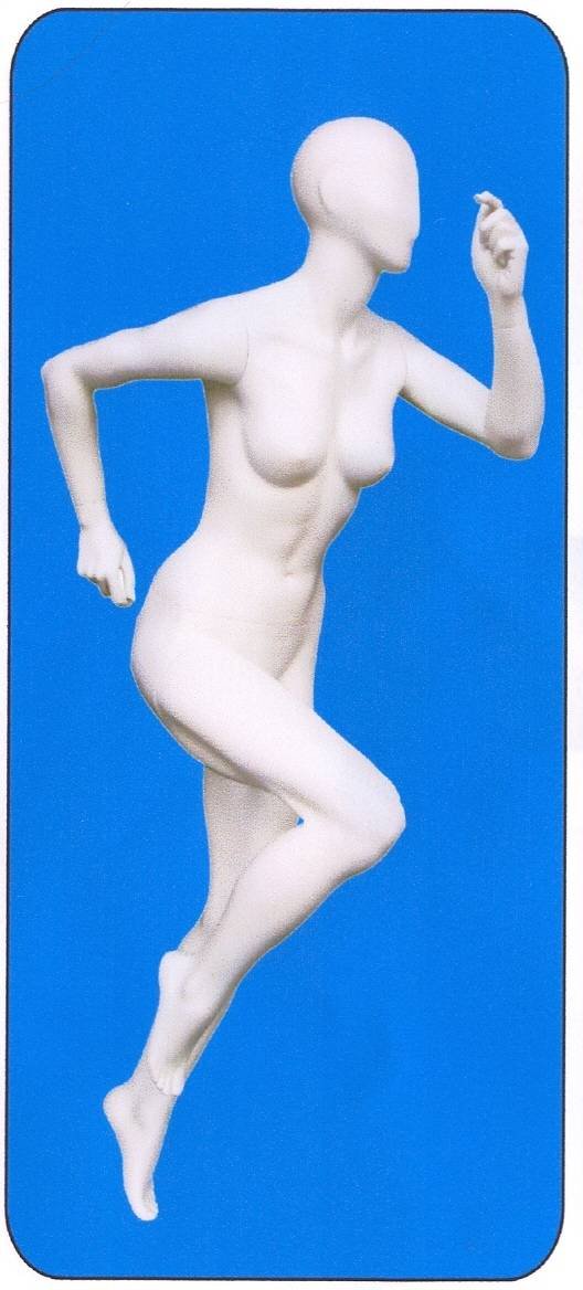 Female Sport Mannequin Profile Photos of Weston International Ltd. 4F, No.285, Sec. 1, Jhongshan Road - Photo 2 of 6