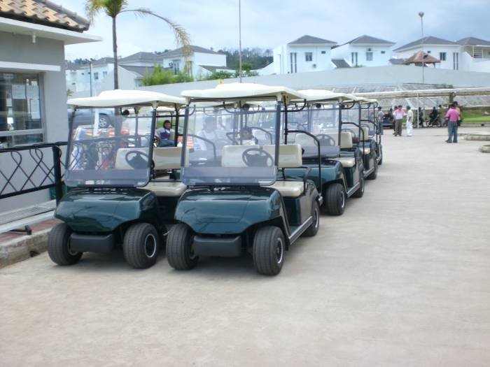  New Album of Dongguan Lvtong Golf&Sightseeing Car Co.,Ltd Meisha - Photo 2 of 5