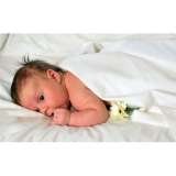 Lazy Daisy Herts, South Beds, Bucks & North London, Hitchin