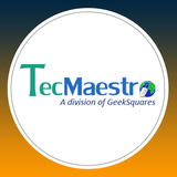 TecMaestro IT Services, Ghaziabad