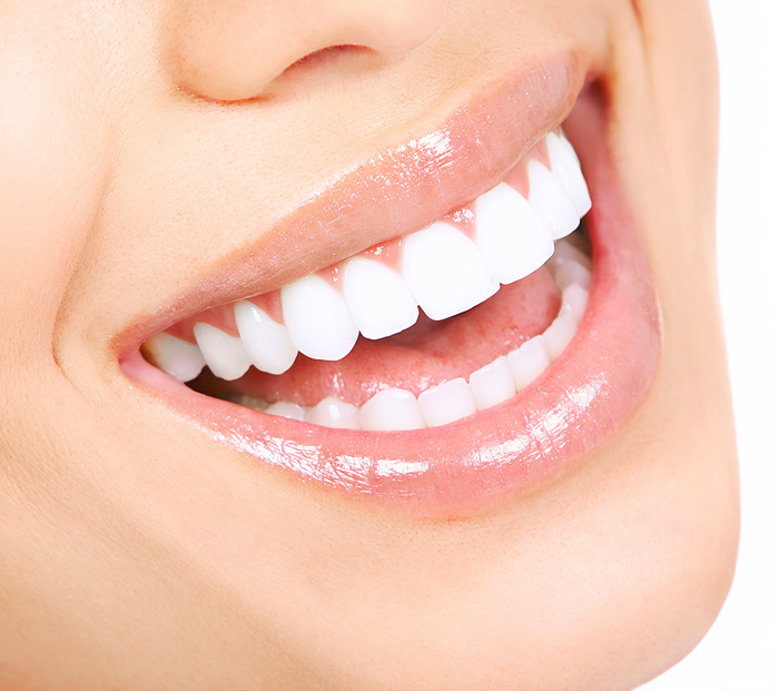  New Album of Bedford Center for Prosthodontics 169 South River Road - Photo 1 of 3