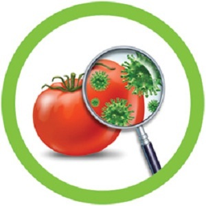 food safety training courses New Album of Holt Green Training Amy Johnson Way, Lancaster House, Business First Centre - Photo 3 of 7