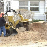 Grinding, Westminster