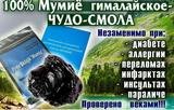 BWA Ltd, 