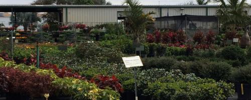  Profile Photos of Nu Turf of Pompano Beach, Inc. 2801 N Dixie Hwy - Photo 4 of 4