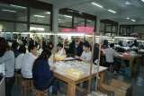 Production Line, Deguo Concept Co., Ltd., Dao Jiao Town, Dongguan City