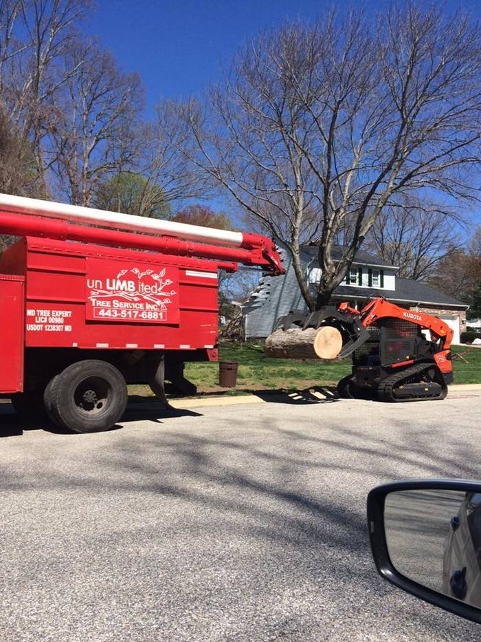  Profile Photos of UNLIMBITED TREE SERVICE, INC. P.O. Box 215, Glen Burnie, MD - Photo 8 of 10