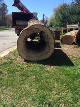  UNLIMBITED TREE SERVICE, INC. P.O. Box 215, Glen Burnie, MD 
