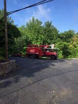 UNLIMBITED TREE SERVICE, INC., Glen Burnie