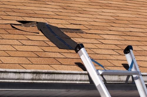 Profile Photos of Roof Repair Long Island 31 Richmond Blvd Unit 1B - Photo 3 of 4