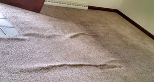  New Album of Colossal Carpet Care 13200 W. 43rd Dr.Unit 105 - Photo 4 of 5