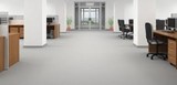  Colossal Carpet Care 13200 W. 43rd Dr.Unit 105 