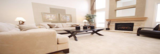 Colossal Carpet Care, Golden