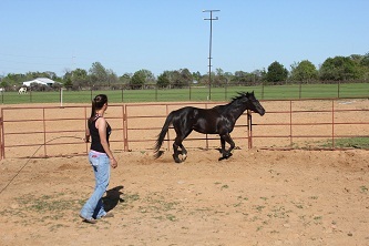  Profile Photos of Little K Acres 414 Cagle Crow Rd. - Photo 3 of 5
