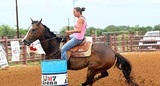 Little K Acres, Mansfield