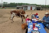 Little K Acres, Mansfield