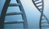 Test Me DNA, Seattle