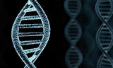 Test Me DNA, Seattle