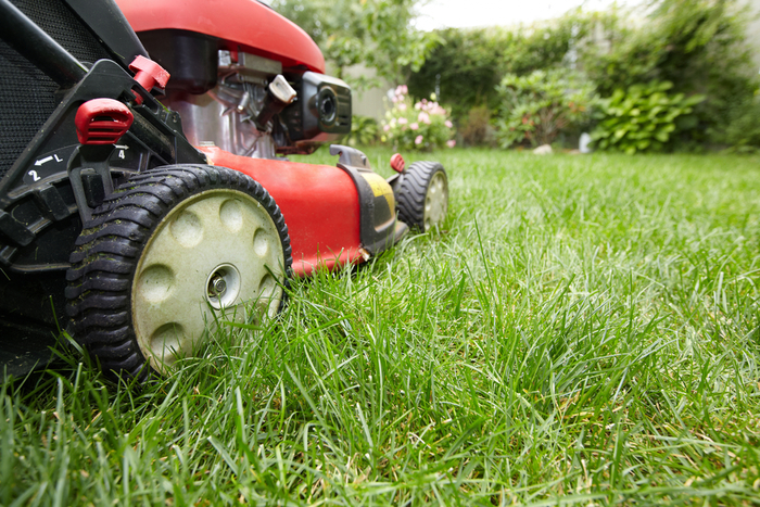  Profile Photos of Lemnah Lawn & Grounds Service 6081 Pinchtown Road - Photo 1 of 3