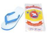 EMC Thailand Co., Ltd., Muang
