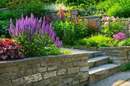  Profile Photos of Compass Landscaping LLC Serving Area - Photo 3 of 4