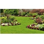 Compass Landscaping LLC, Spring Branch