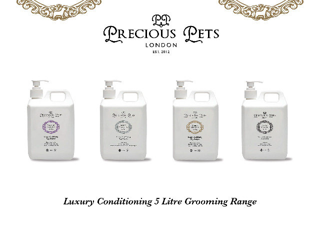  Profile Photos of Precious Pets London Precious Pets Ltd, 26 York Street - Photo 2 of 12