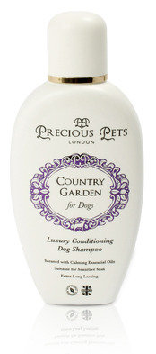  Profile Photos of Precious Pets London Precious Pets Ltd, 26 York Street - Photo 4 of 12