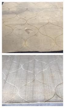  Profile Photos of Natural Rug Cleaning 9111 Cross Park Drive D2343 - Photo 3 of 3