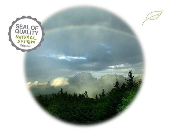 Inspired by nature.<br />
 Profile Photos of Schrijver System 9 Mermaid Close - Photo 2 of 5