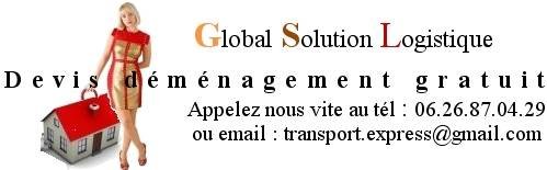  Profile Photos of Global Solution Logistique rue lecourbe - Photo 4 of 6