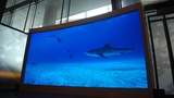 LED DisplayLED Display, Dynamo Led Displays, London