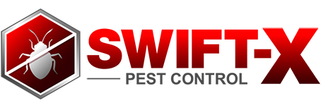  Profile Photos of Pest Control Services Toronto - Swift-X 247 Hillurst Boulevard Unit 201 M5N 1P3 Toronto, CA. - Photo 1 of 8