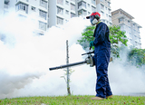 Pest Control Services Toronto - Swift-X, Toronto