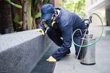 Pest Control Services Toronto - Swift-X, Toronto