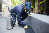 Pest Control Services Toronto - Swift-X, Toronto